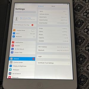 iPad mini 2